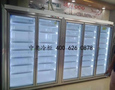 兩門(mén)冷柜 兩門(mén)冷柜